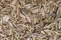 biomass boilers Idrigill